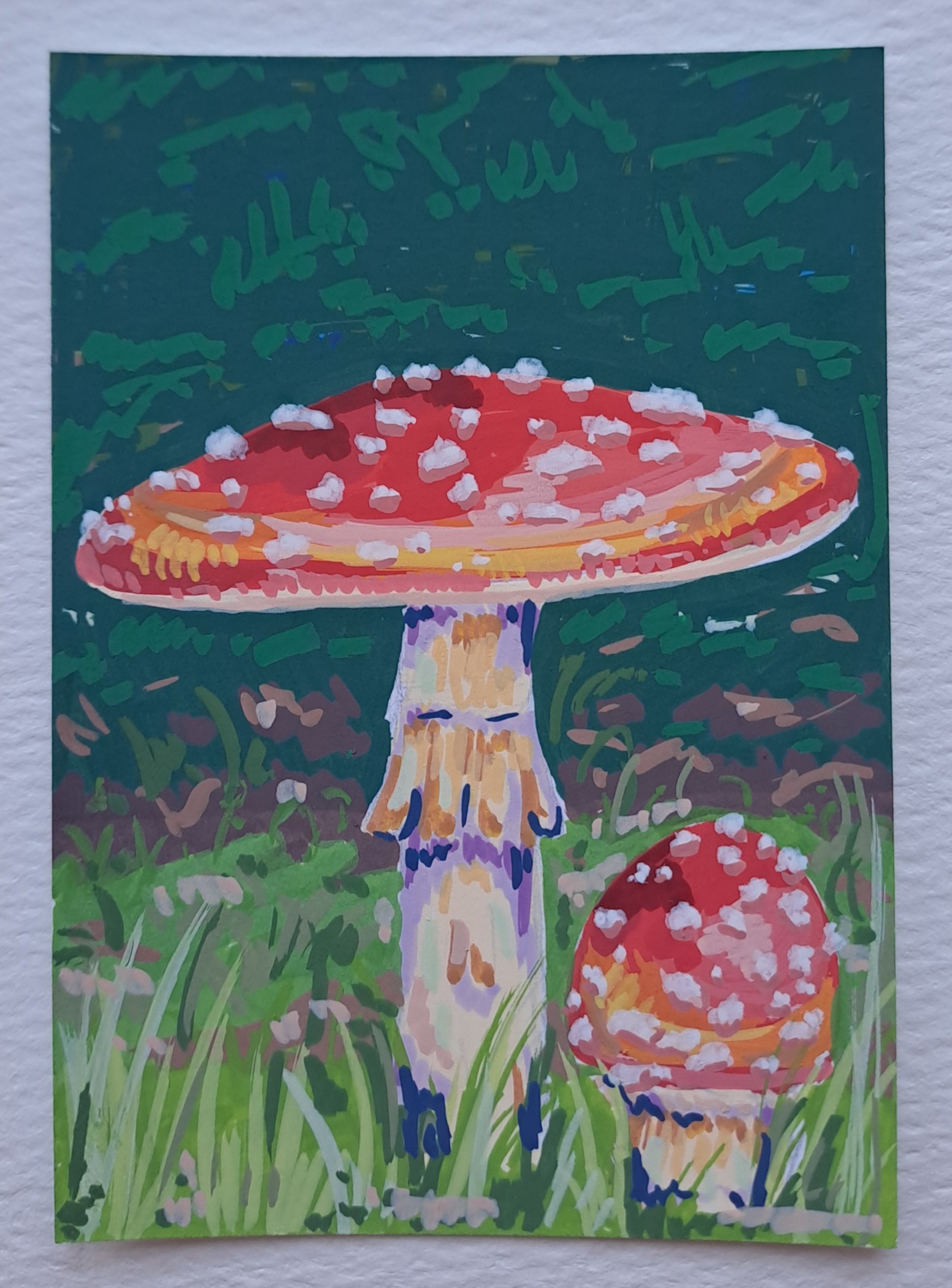 Fly agaric