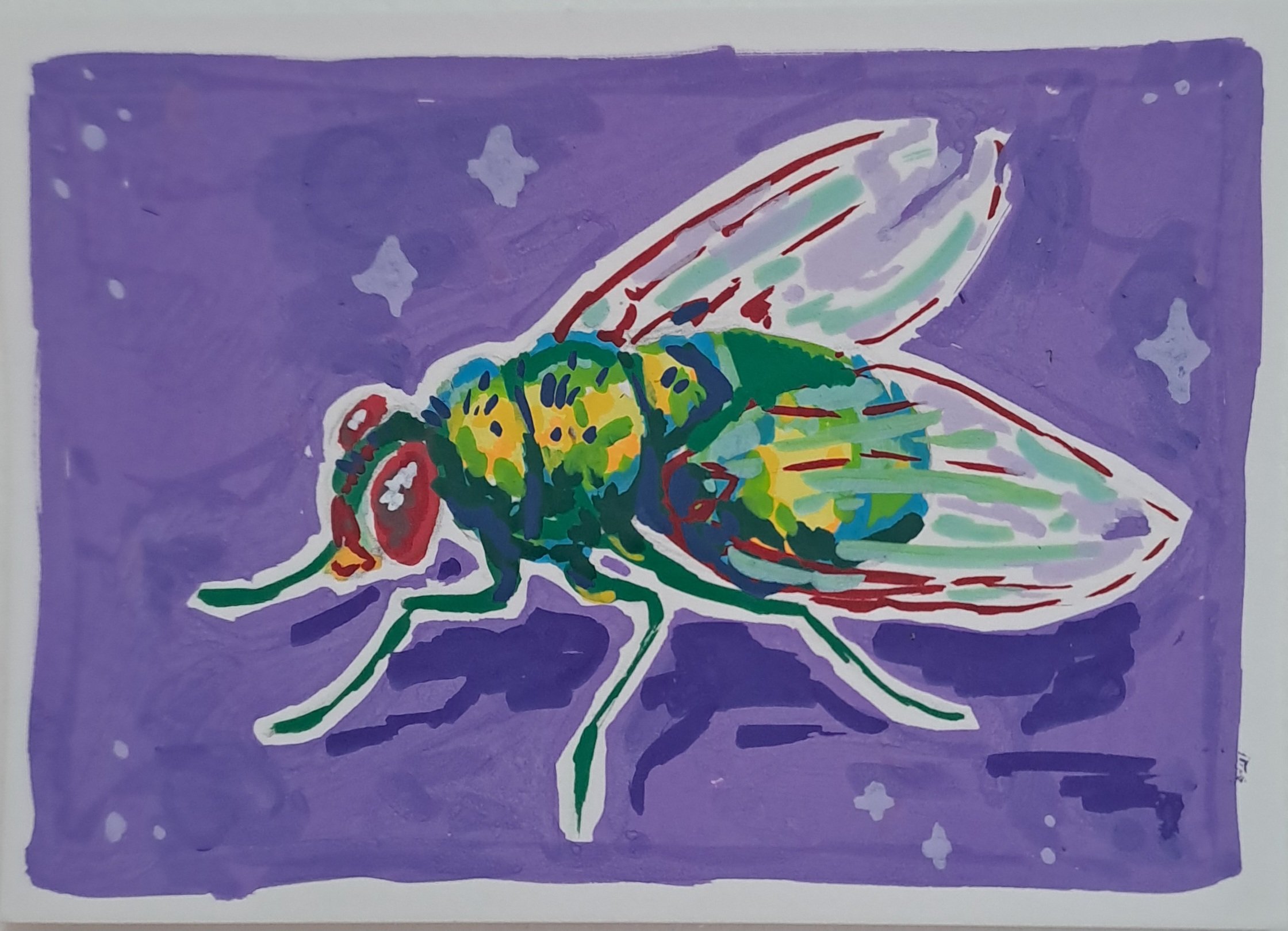 Fly