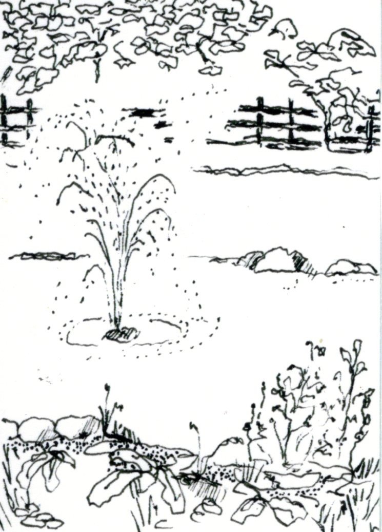 Fountain at Pine Run Pond