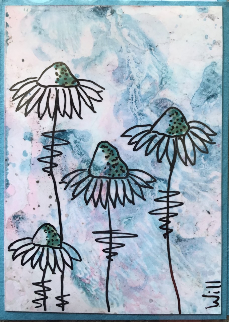 Four coneflowers blue
