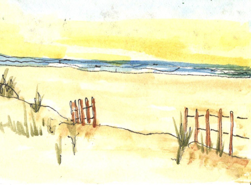 From the Gulf Stream Waters (Atlantic Coast)