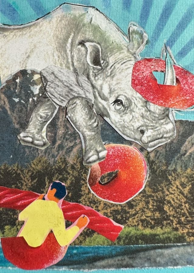 Fruit Rings