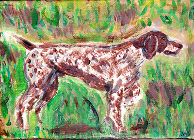 German Shorthair Pointer - Dog Breed Project