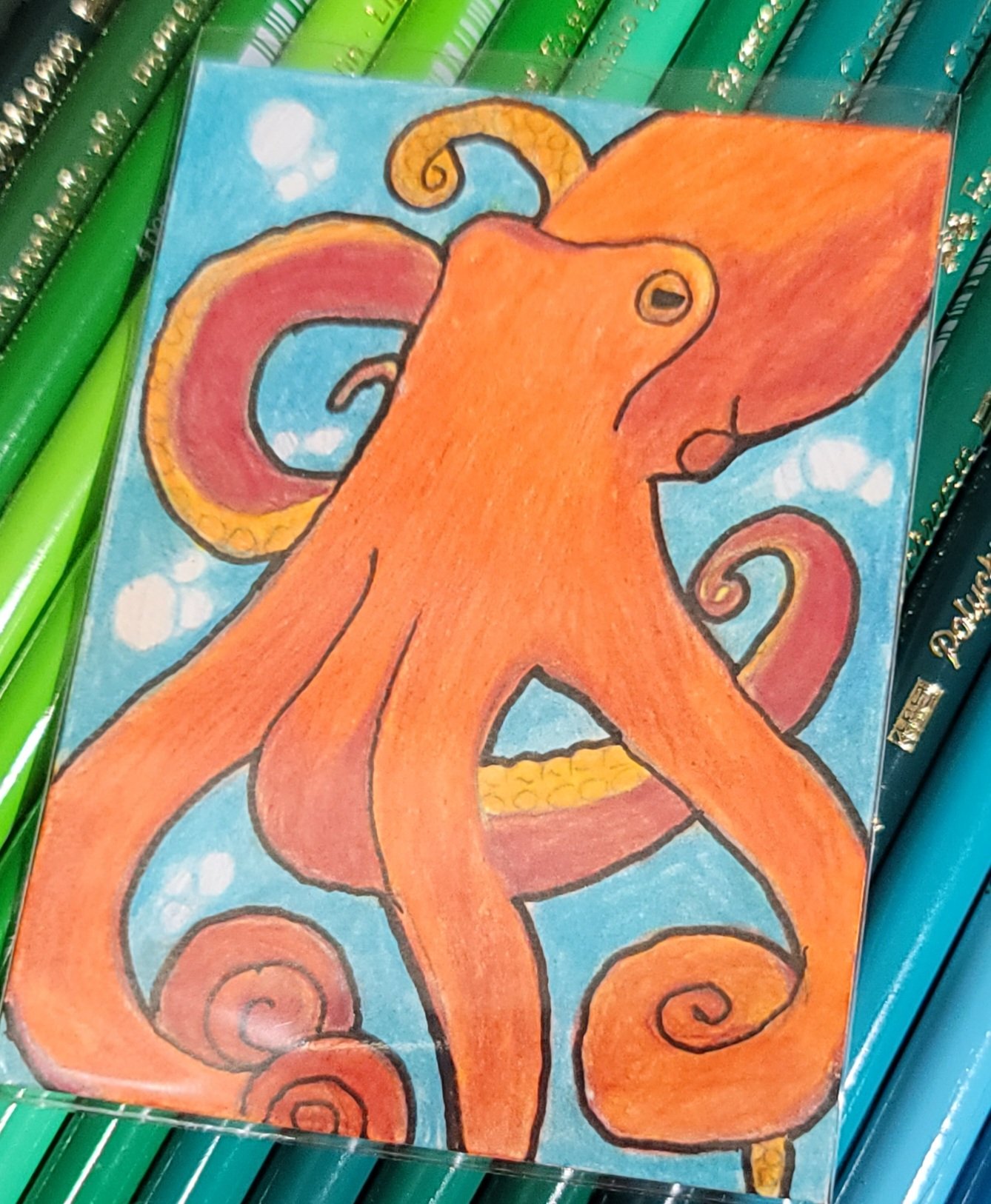 Giant pacific octopus 2