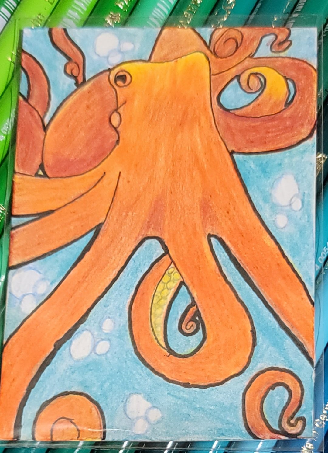 giant pacific octopus 3