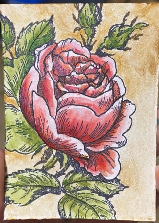 Gilded Rose.jpeg