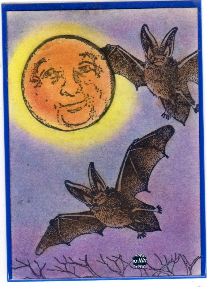 Going Batty