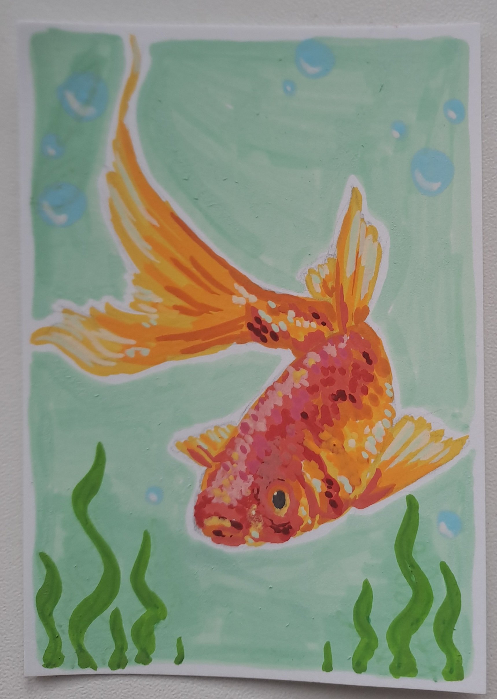 Goldfish