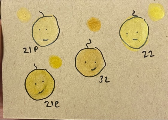 Happiness Scale.jpeg