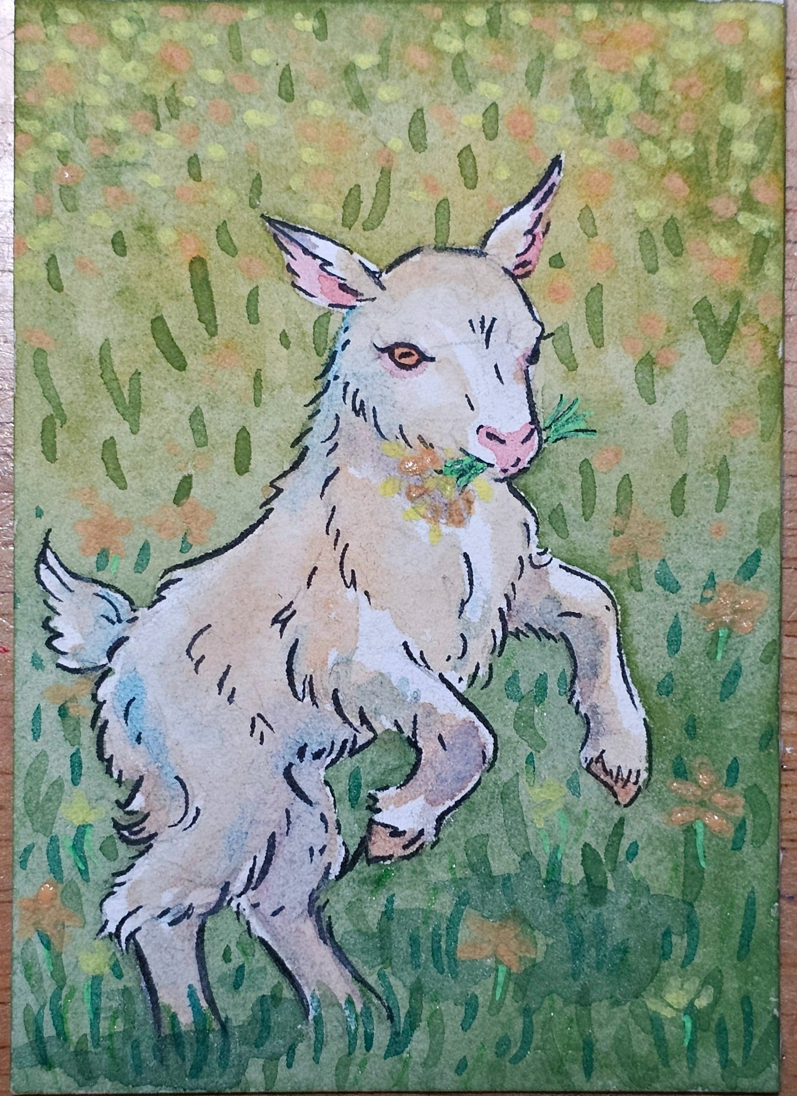 Happy baby goat [Traded]