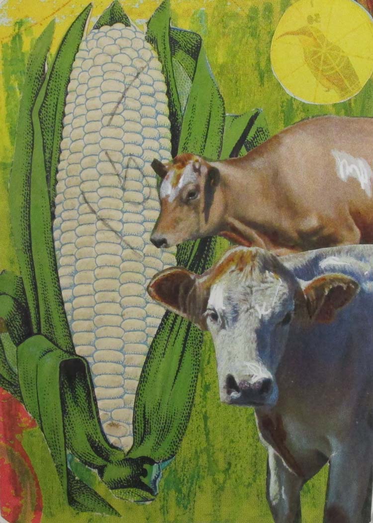Happy Bovines