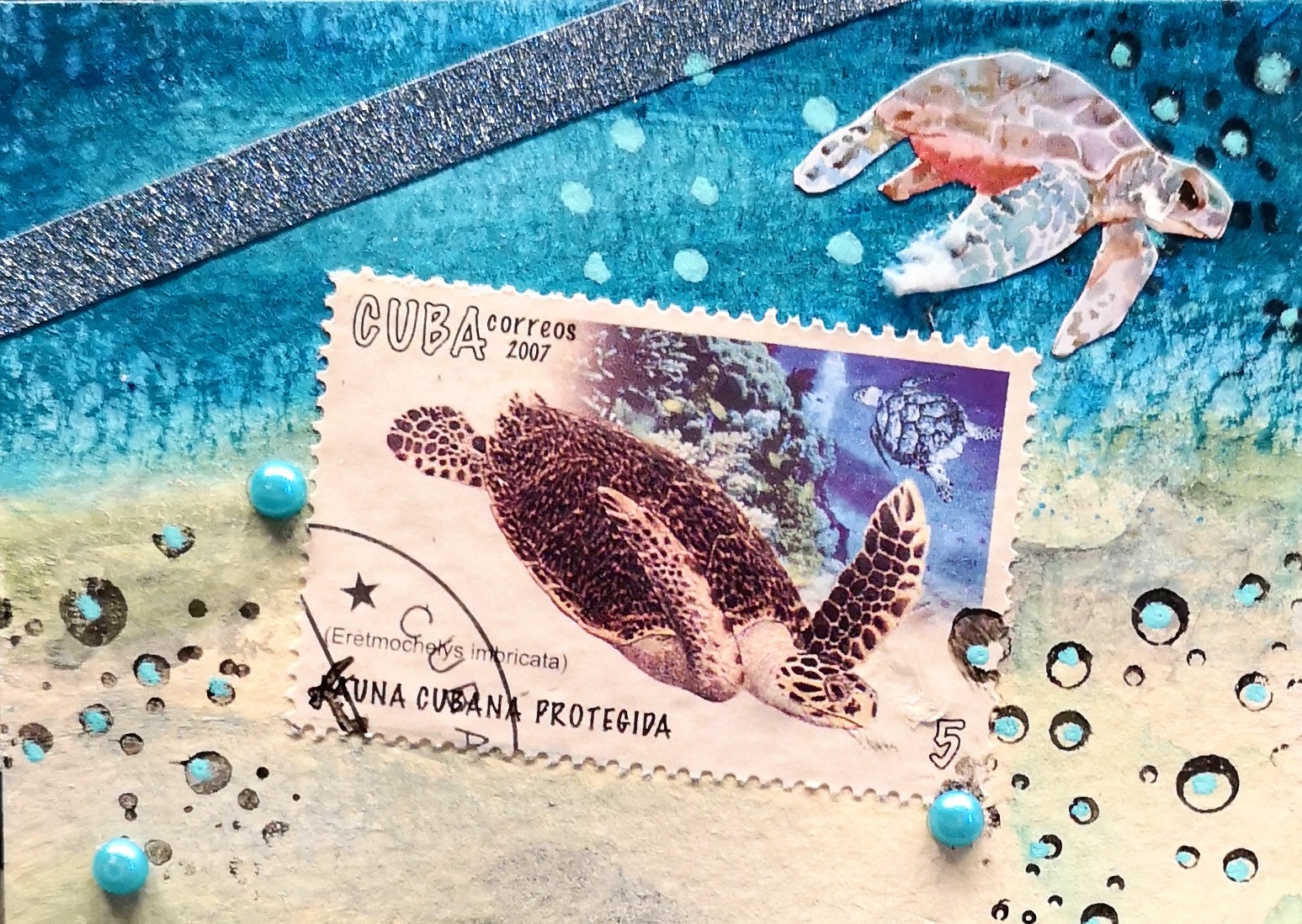 Hawksbill_Sea_Turtle.jpg