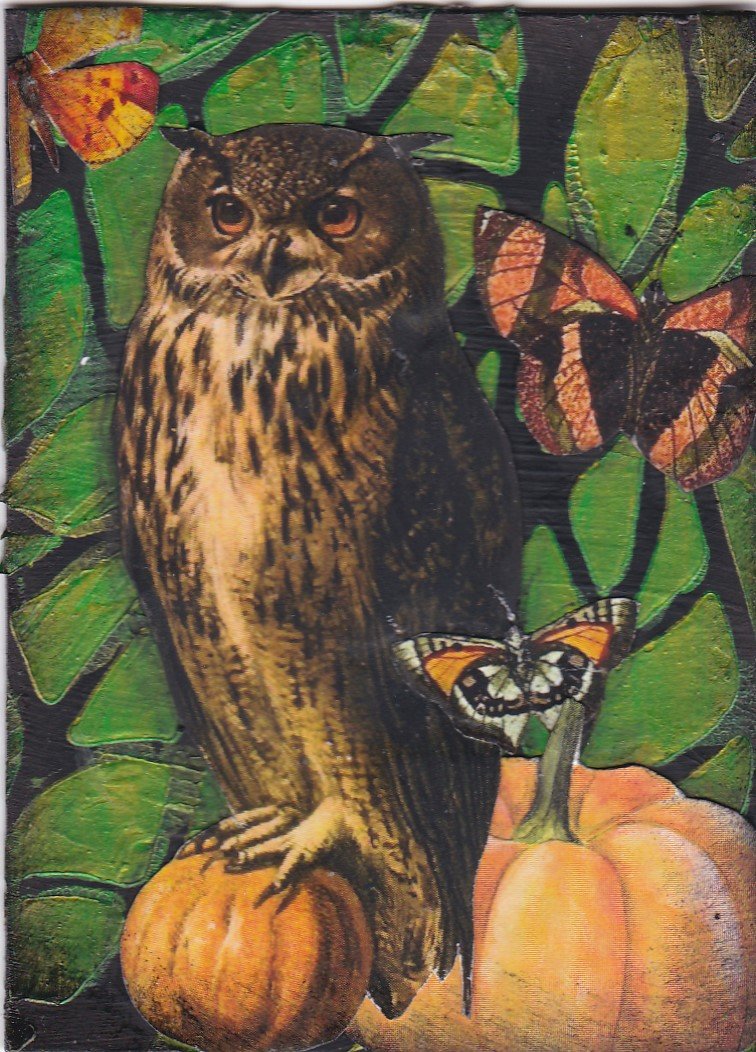 HCATHON 15 Owl.jpg