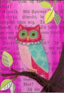 HCH Pink Owl