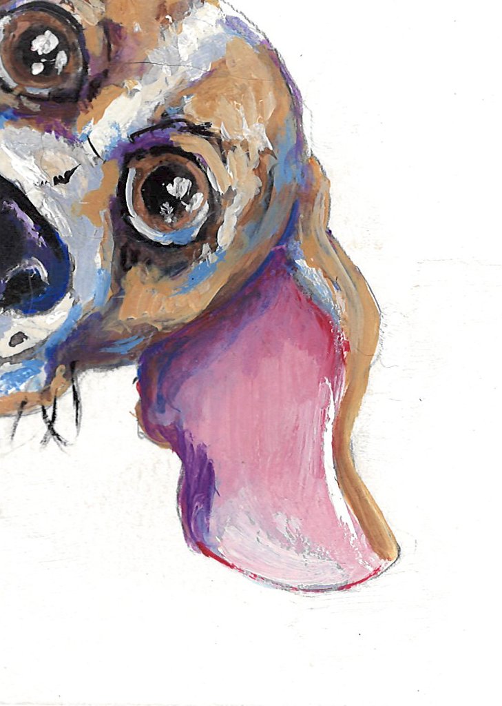 Hello, Beagle