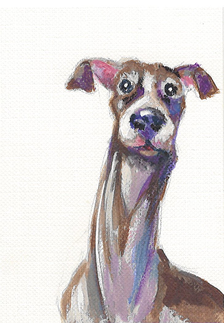 Hello, Greyhound