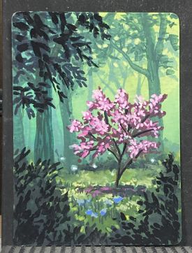 Hidden Cherry Blossom Tree