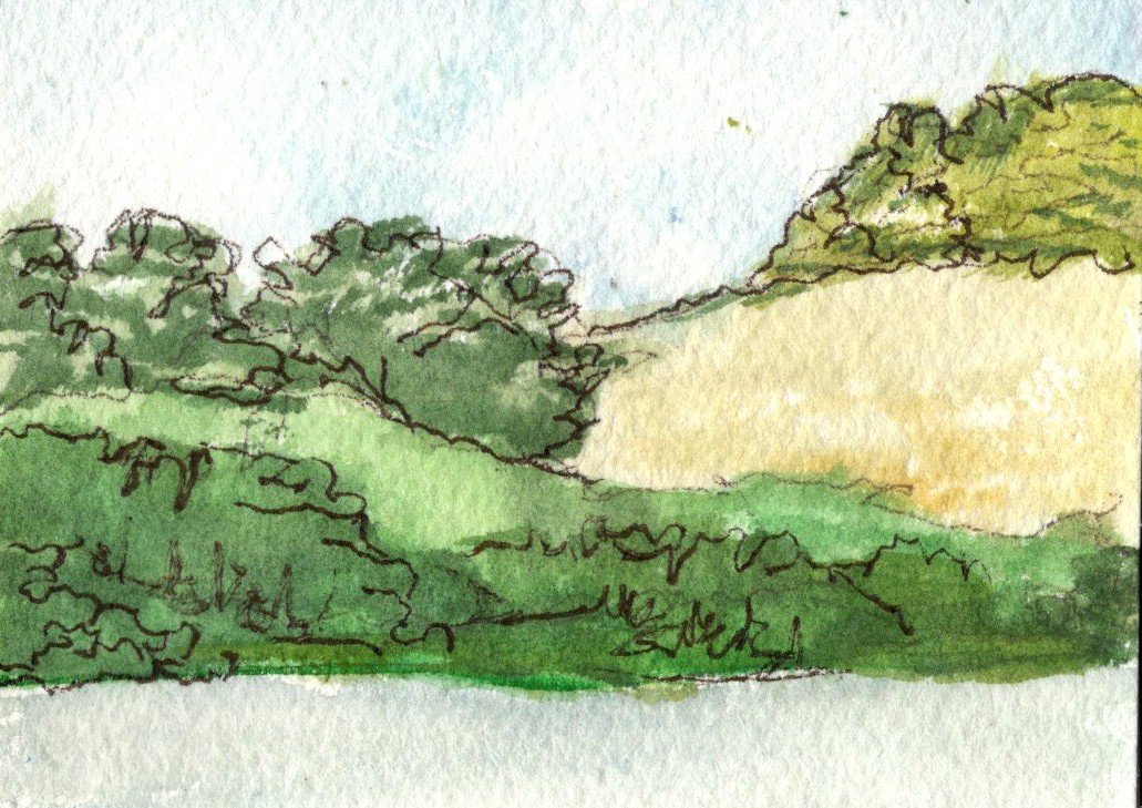 Hilly landscape 4