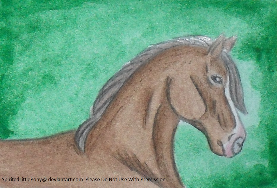 Horse- Favorite Animal Swap