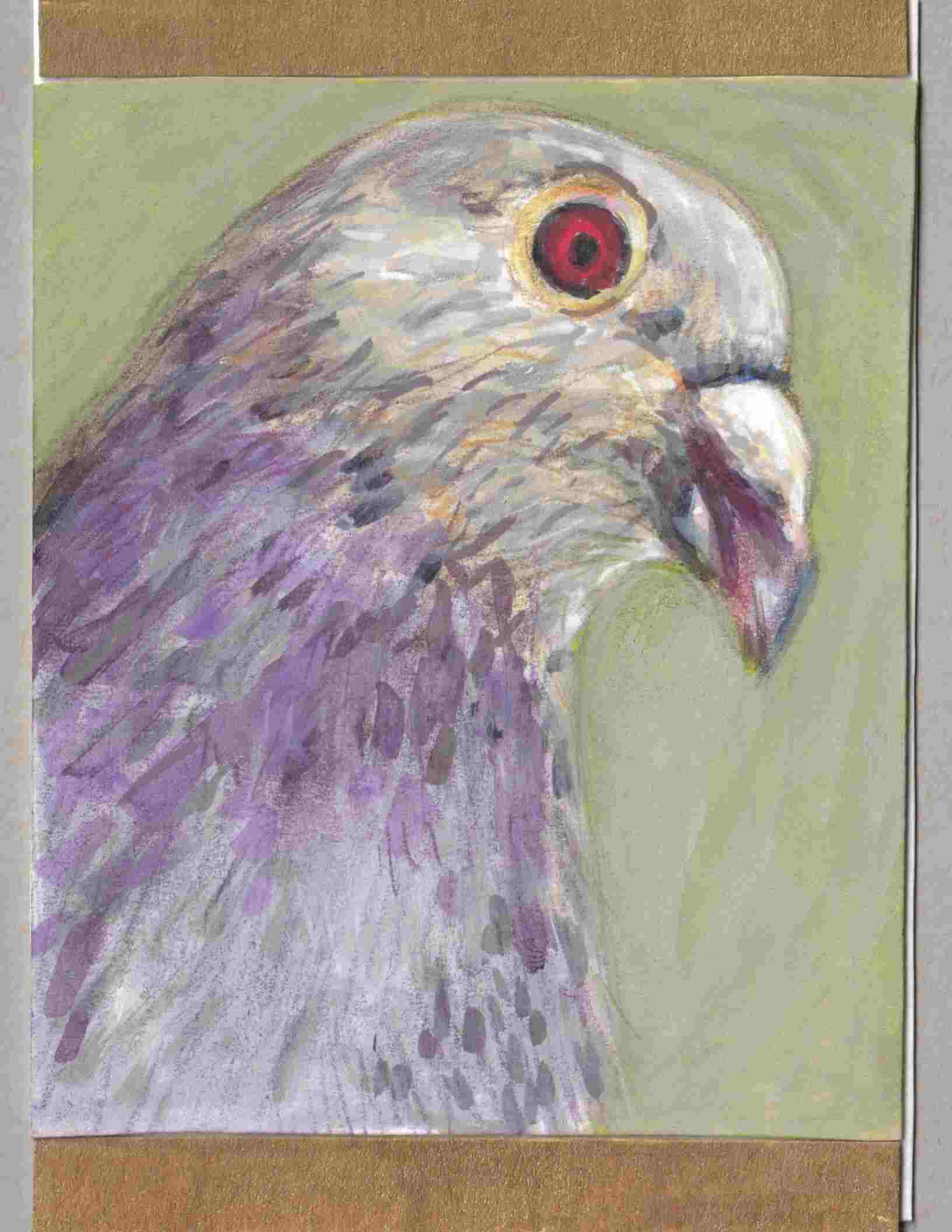 Iridescent Pigeon.jpeg