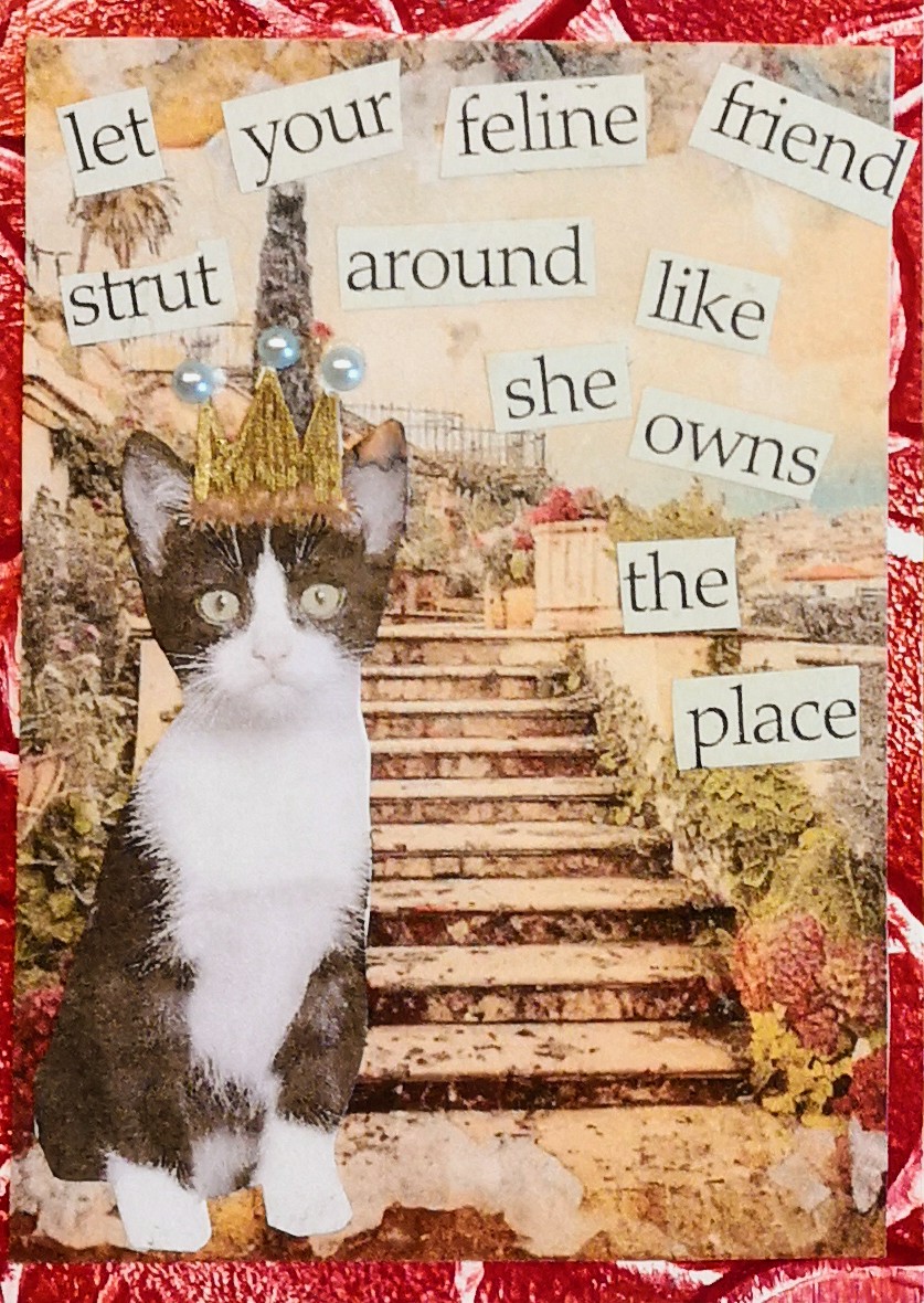 JAA_09_YourFelineFriend.jpg
