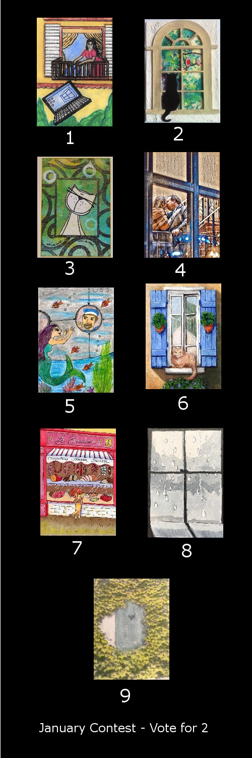 January 2018 Contest Entries