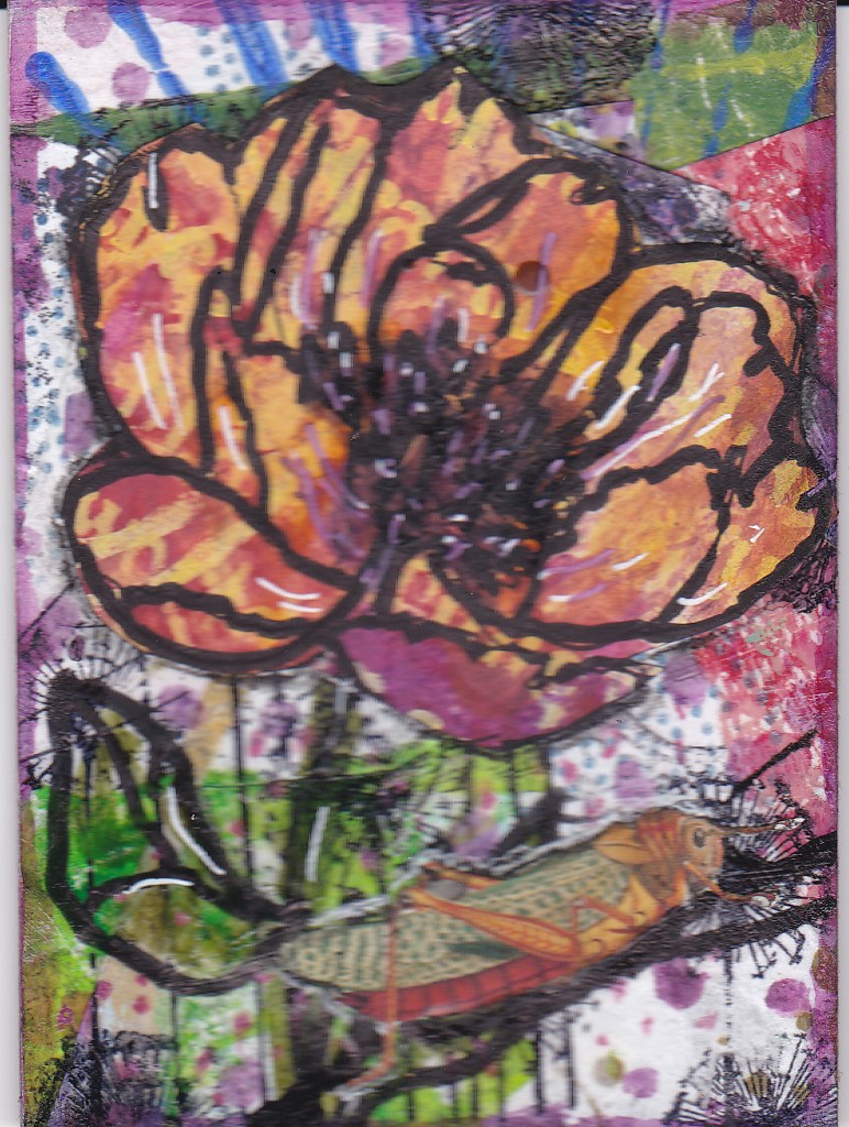 JATART 1 orange flower +bug