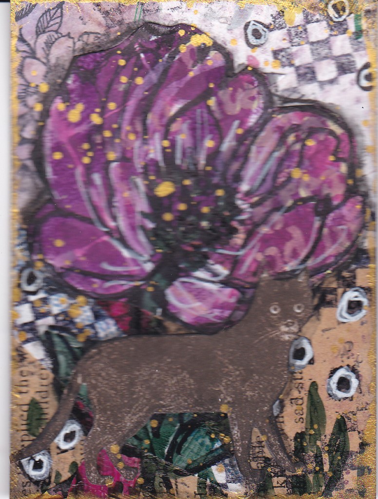 JATART 2 cat in the garden