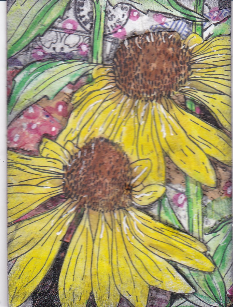 JATART 6 Yellow echinacea