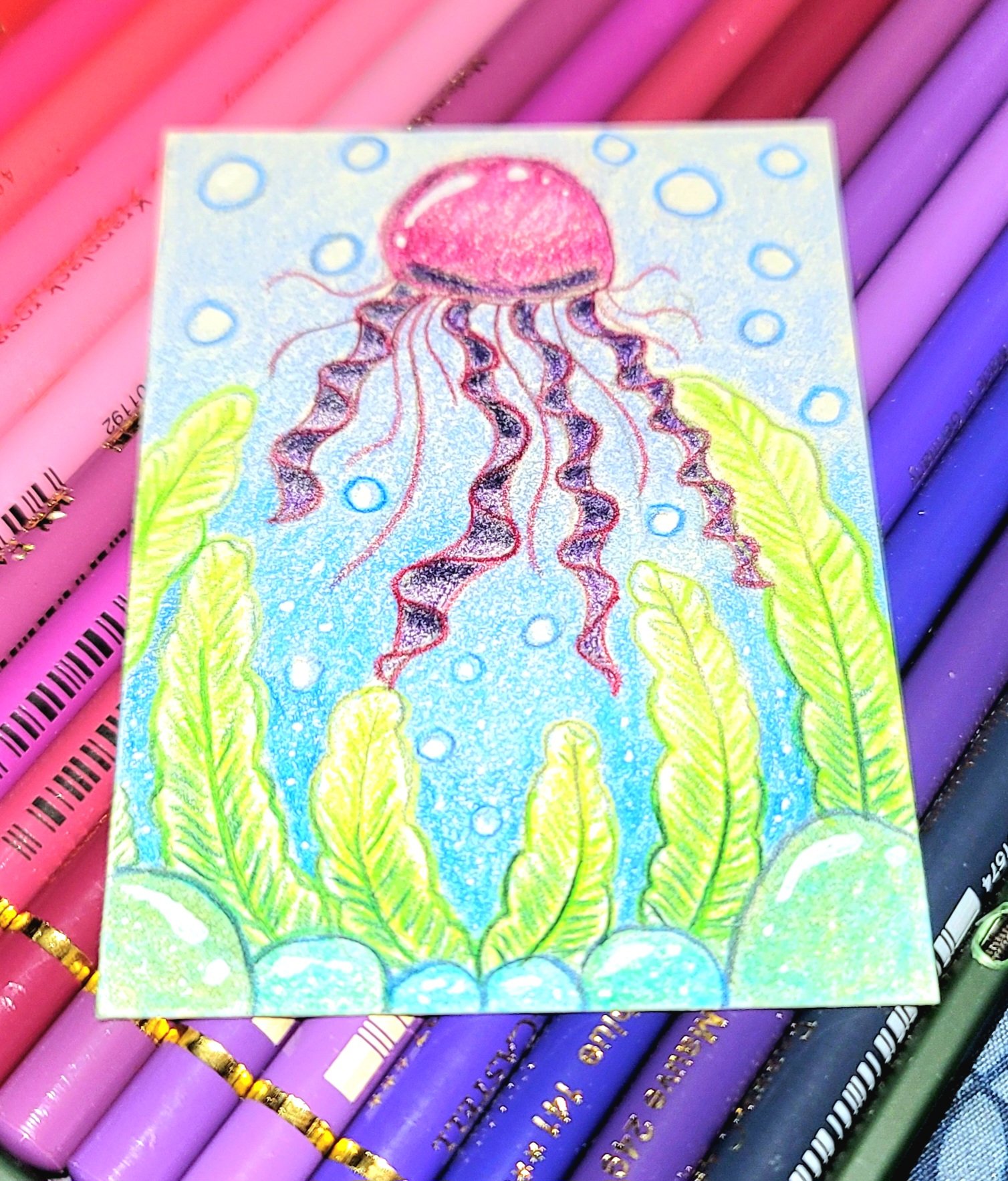 jellyfish