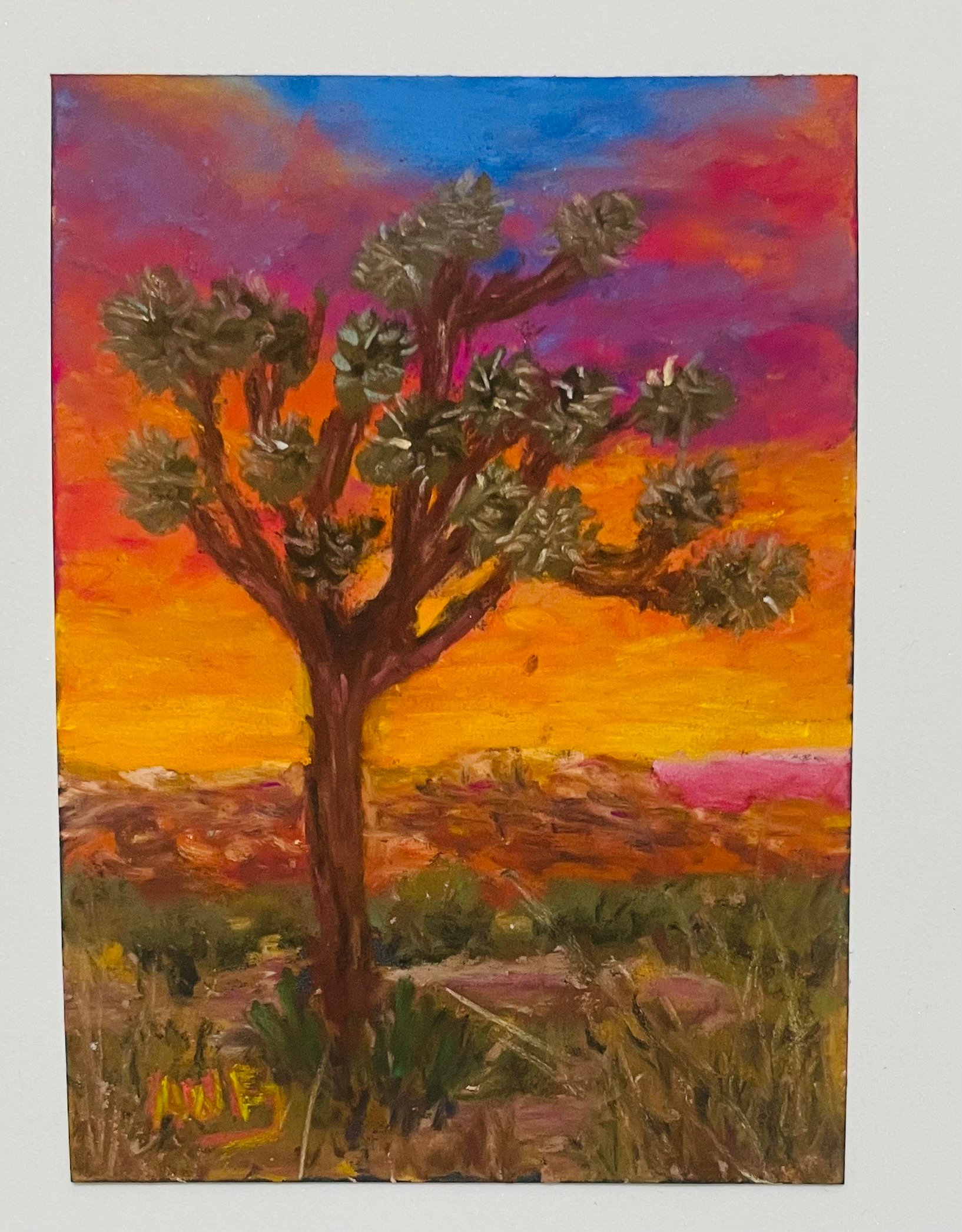 Joshua Tree.jpeg
