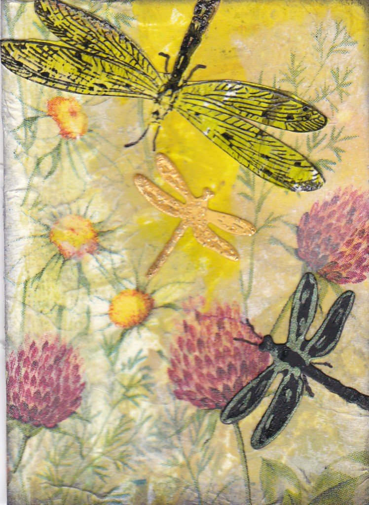 July athon 02 dragonflies and thistles.jpg