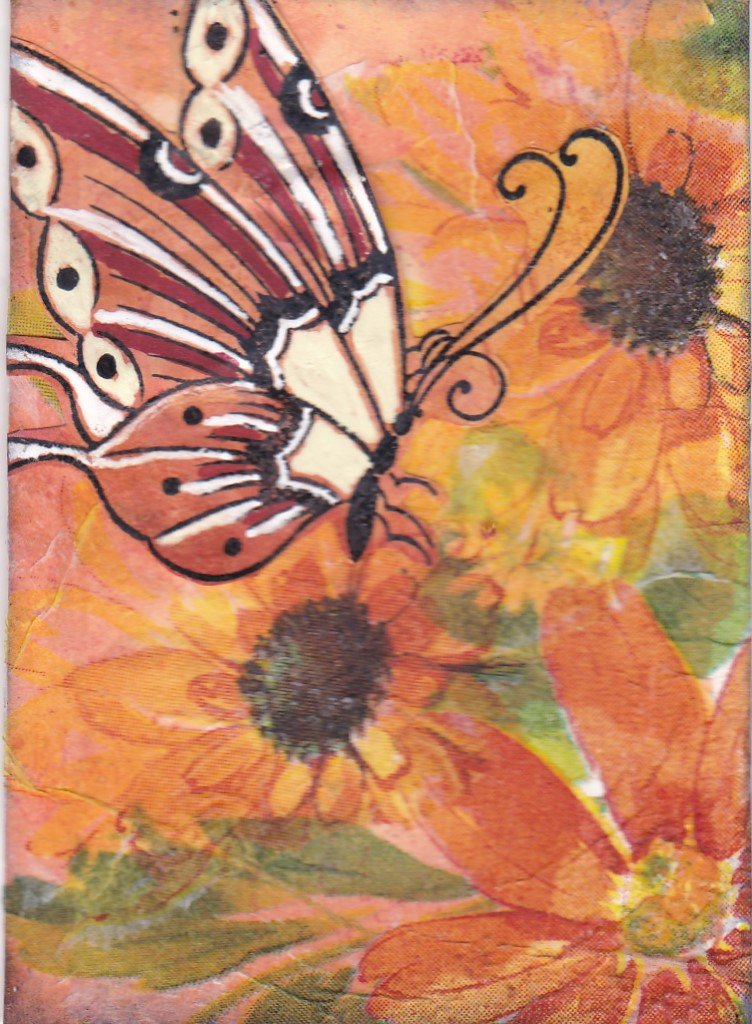 July athon 03 butterfly on orange flowers.jpg