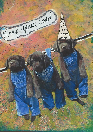 Keep Your Cool