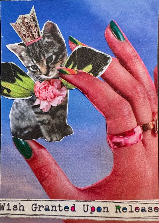 Kitty Fairy Grants a Wish