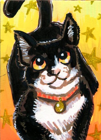 Kitty