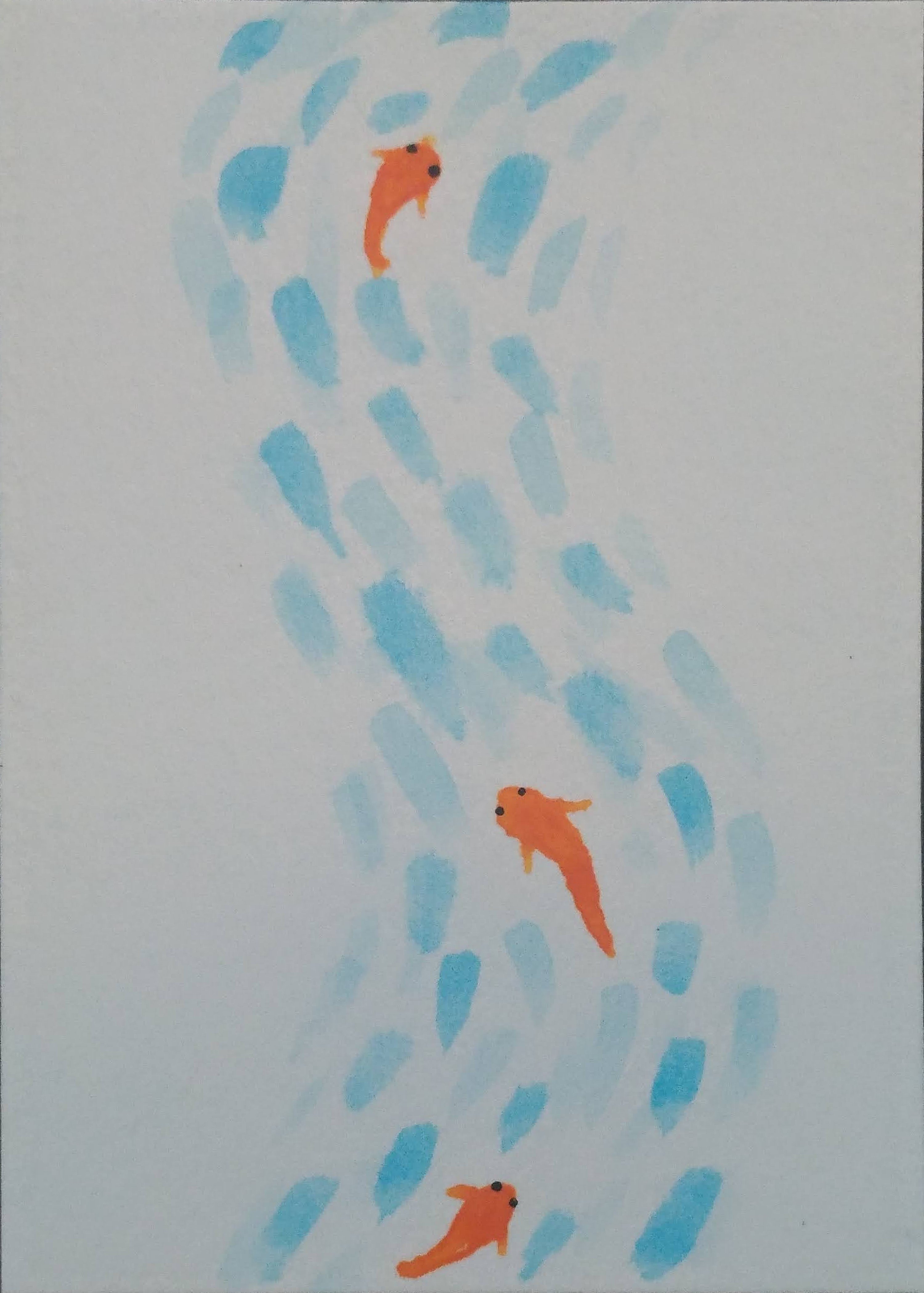 Koi