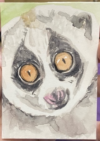 L is for Loris.jpeg