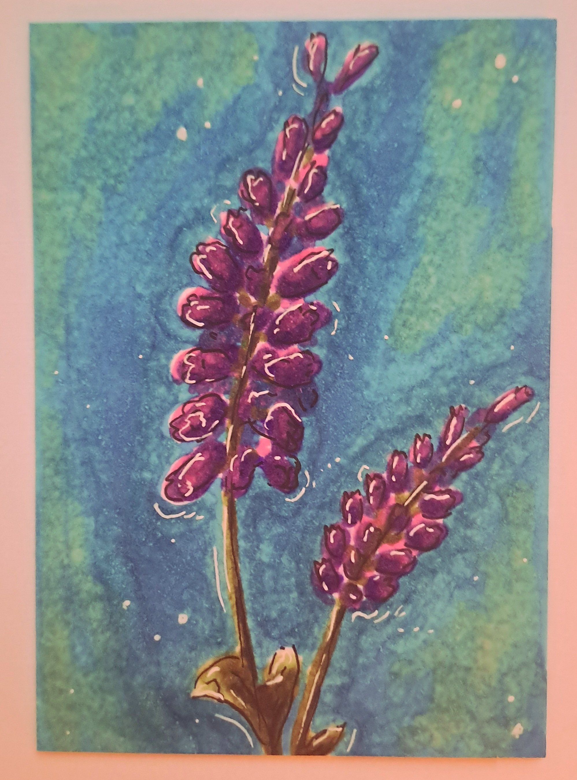 "Lavender"