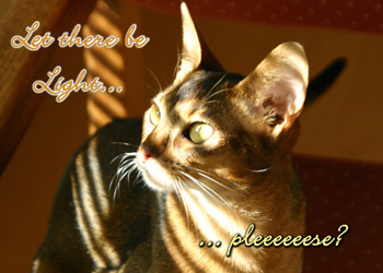 Let There Be Light ... pleeeeease???
