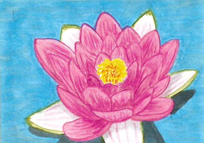 Lotus Flower