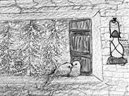 Love Birds - Nov./Dec. 2017 Monthly Contest