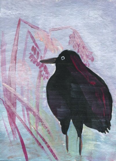 Magenta fog
