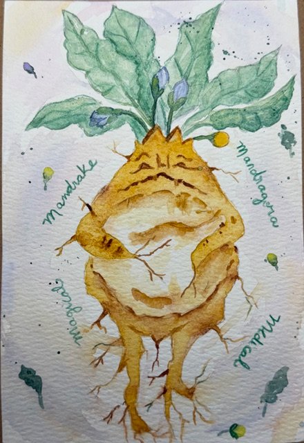 Mandrake
