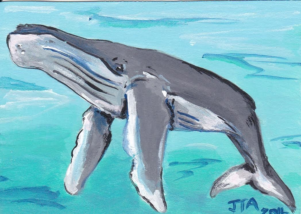 Marine Mammal Swap