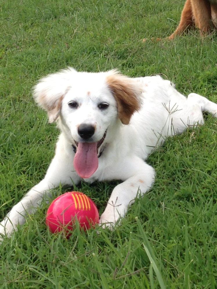 Max