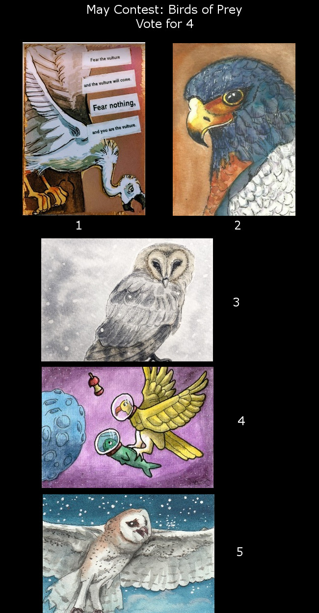 May 2018 ATC Contest~Birds of Prey