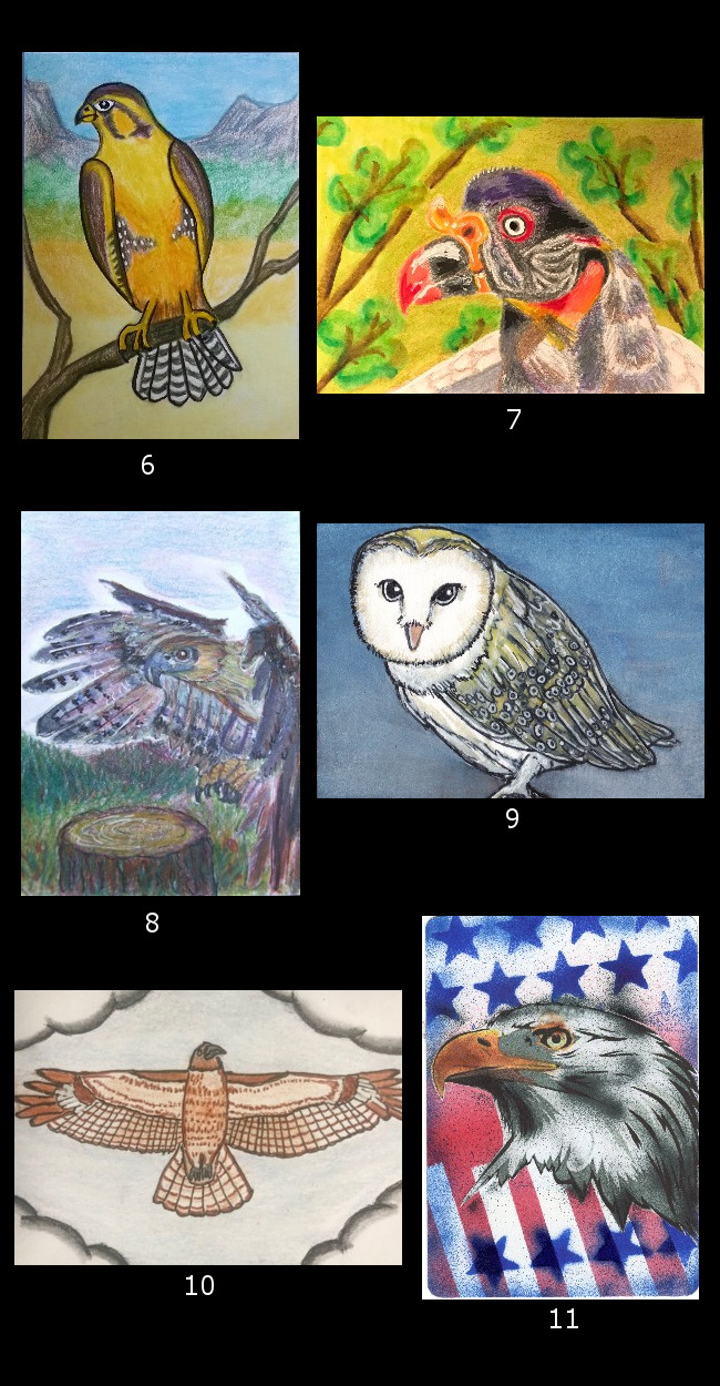 May 2018 ATC Contest~Birds of Prey
