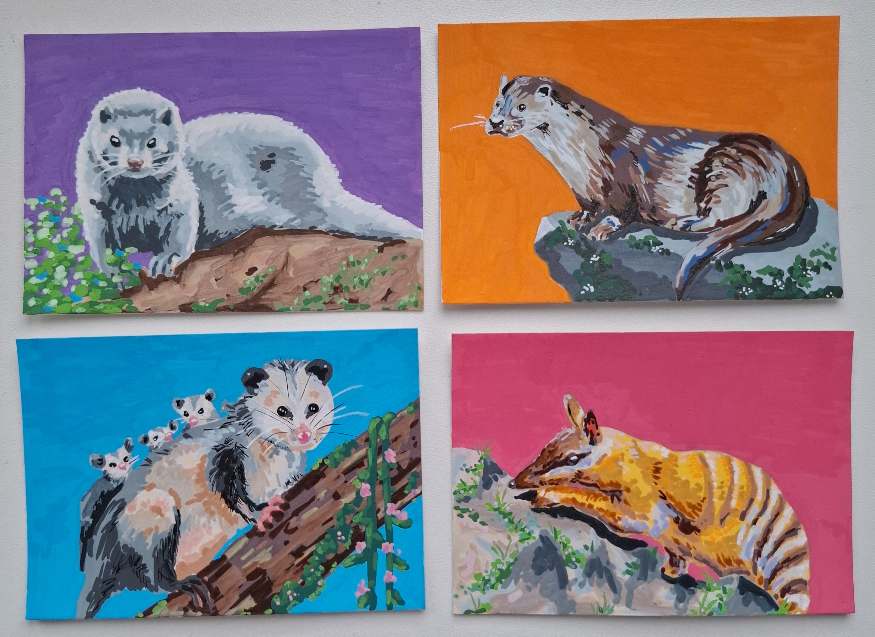 Mink, Otter, Opossum, Numbat