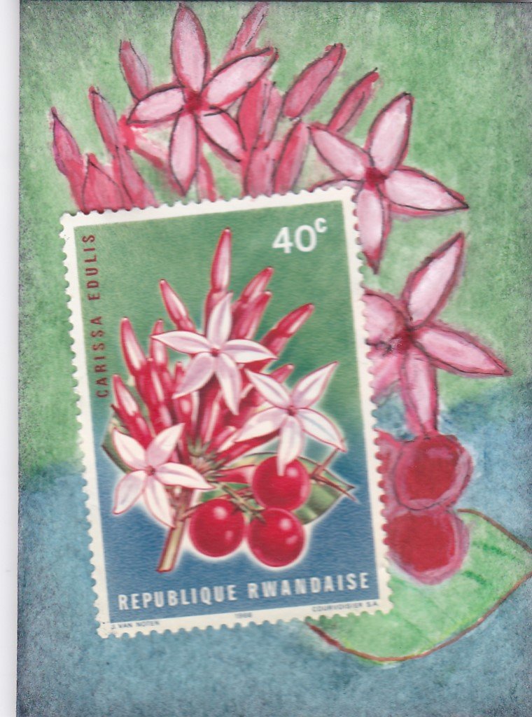 MLK ATHON 05 Carissa Stamp.jpg